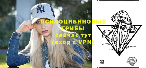 mdpv Нязепетровск