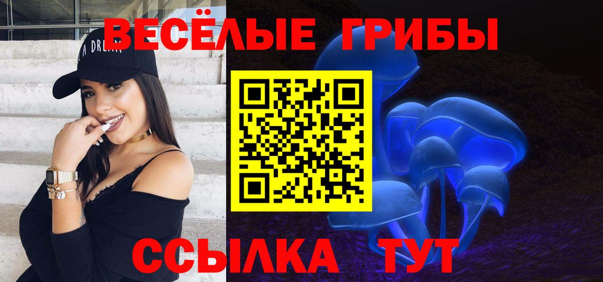 Псилоцибиновые грибы Cubensis  Вход с VPN  Тольятти 