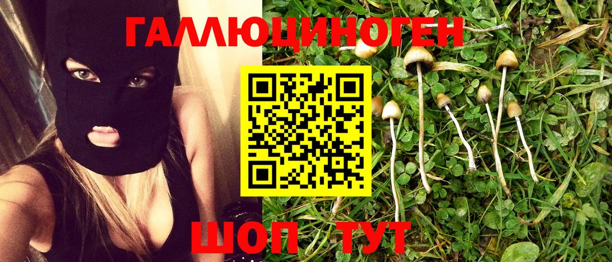 Галлюциногенные грибы MAGIC MUSHROOMS Тольятти